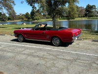 1966 Ford Mustang for sale in Michigan (ID-135308)