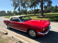 1966 Ford Mustang for sale in Michigan (ID-135308)
