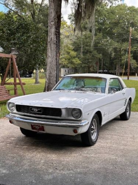 1966 Ford Mustang for sale in Michigan (ID-136048) 1966 Ford Mustang for sale in Michigan (ID-136048)