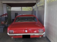 1966 Ford Mustang for sale in Michigan (ID-136069)