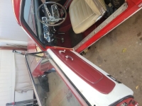 1966 Ford Mustang for sale in Michigan (ID-136069)