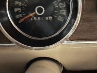 1966 Ford Mustang for sale in Michigan (ID-137015)