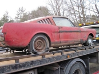 1966 Ford Mustang for sale in Michigan (ID-137502)