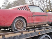 1966 Ford Mustang for sale in Michigan (ID-137502)