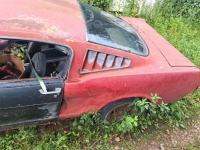1966 Ford Mustang for sale in Michigan (ID-137502)