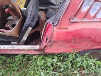1966 Ford Mustang for sale in Michigan (ID-137502)
