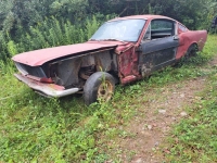 1966 Ford Mustang for sale in Michigan (ID-137502)