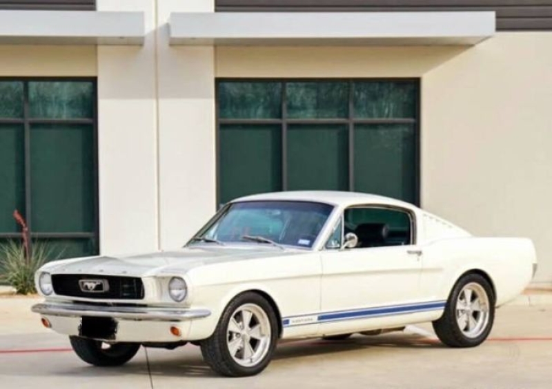 1966 Ford Mustang for sale in Michigan (ID-138129)