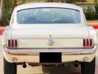 1966 Ford Mustang for sale in Michigan (ID-138129)