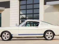 1966 Ford Mustang for sale in Michigan (ID-138129)