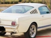 1966 Ford Mustang for sale in Michigan (ID-138129)