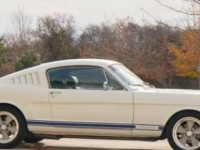 1966 Ford Mustang for sale in Michigan (ID-138129)