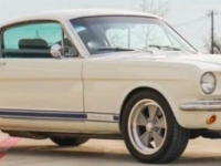 1966 Ford Mustang for sale in Michigan (ID-138129)