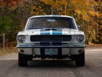 1966 Ford Mustang for sale in Addison, Illinois (ID-138221)