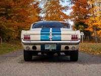 1966 Ford Mustang for sale in Addison, Illinois (ID-138221)
