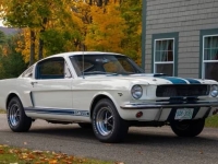 1966 Ford Mustang for sale in Addison, Illinois (ID-138221)
