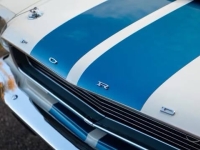 1966 Ford Mustang for sale in Addison, Illinois (ID-138221)