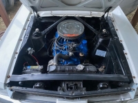 1966 Ford Mustang for sale in Michigan (ID-139123)