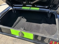 1966 Ford Mustang for sale in Michigan (ID-140783)