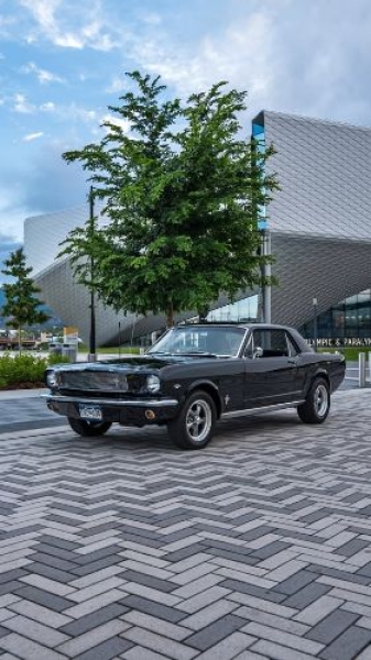 1966 Ford Mustang for sale in Michigan (ID-141044)