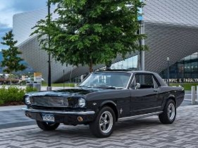 1966 Ford Mustang for sale