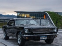 1966 Ford Mustang for sale in Michigan (ID-141044)