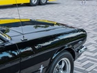 1966 Ford Mustang for sale in Michigan (ID-141044)