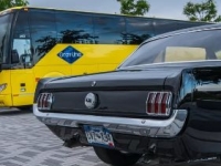 1966 Ford Mustang for sale in Michigan (ID-141044)