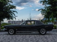 1966 Ford Mustang for sale in Michigan (ID-141044)