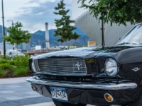 1966 Ford Mustang for sale in Michigan (ID-141044)