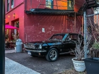 1966 Ford Mustang for sale in Michigan (ID-141044)