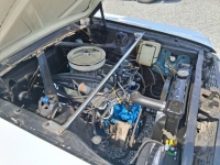 1966 Ford Mustang for sale in Michigan (ID-141392)