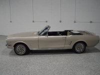 1966 Ford Mustang for sale in Michigan (ID-141548)