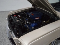 1966 Ford Mustang for sale in Michigan (ID-141548)