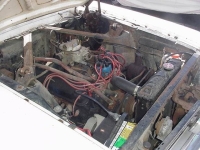 1966 Ford Mustang for sale in Michigan (ID-142196)