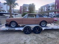 1966 Ford Mustang for sale in Michigan (ID-142378)