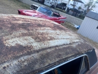 1966 Ford Mustang for sale in Michigan (ID-142378)