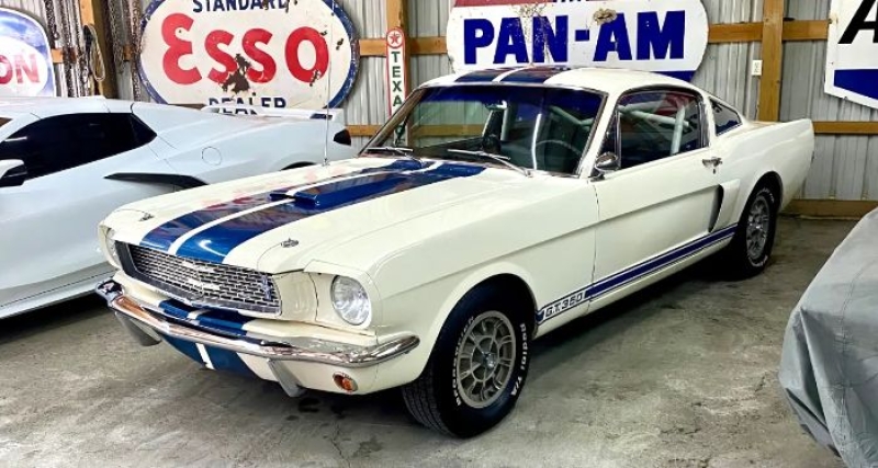 1966 Ford Mustang for sale in Michigan (ID-142783)