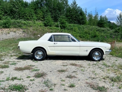 1966 Ford Mustang for sale