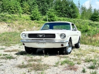 1966 Ford Mustang for sale in Michigan (ID-143453)