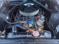 1966 Ford Mustang for sale in Michigan (ID-143831)