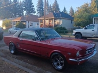 1966 Ford Mustang for sale in Michigan (ID-143831)