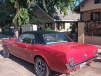 1966 Ford Mustang for sale in Michigan (ID-143831)