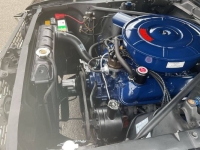 1966 Ford Mustang for sale in Michigan (ID-143857)