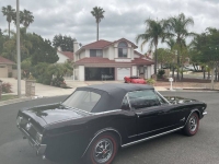 1966 Ford Mustang for sale in Michigan (ID-143857)