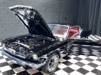 1966 Ford Mustang for sale in Addison, Illinois (ID-144342)
