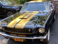1966 Ford Mustang for sale in Riverhead, New York (ID-144920)