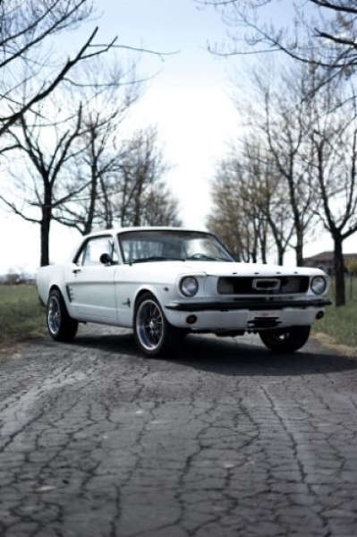 1966 Ford Mustang for sale in Michigan (ID-144944)