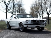 1966 Ford Mustang for sale in Michigan (ID-144944)