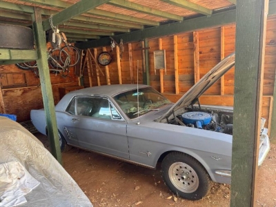 1966 Ford Mustang for sale